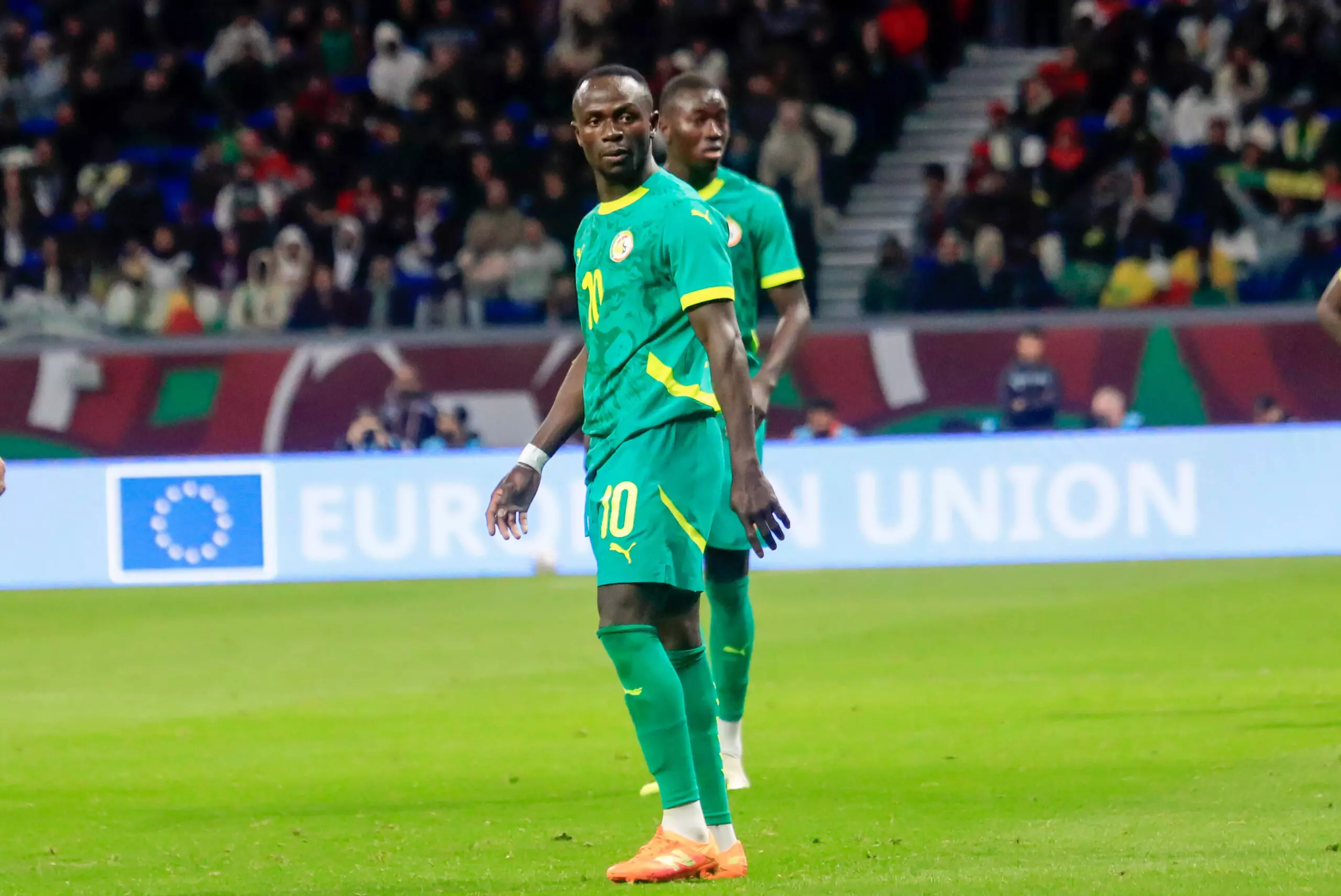 2025 AFCON FINAL: Can Walid Regragui’s Morocco Finally Break a 50-Year Curse Under the Immense Pressure of a Home Final?