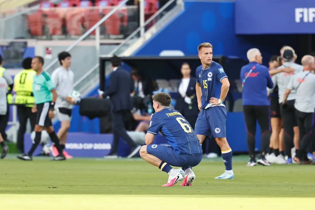 Bosnia and Herzegovina's World Cup Campaign
