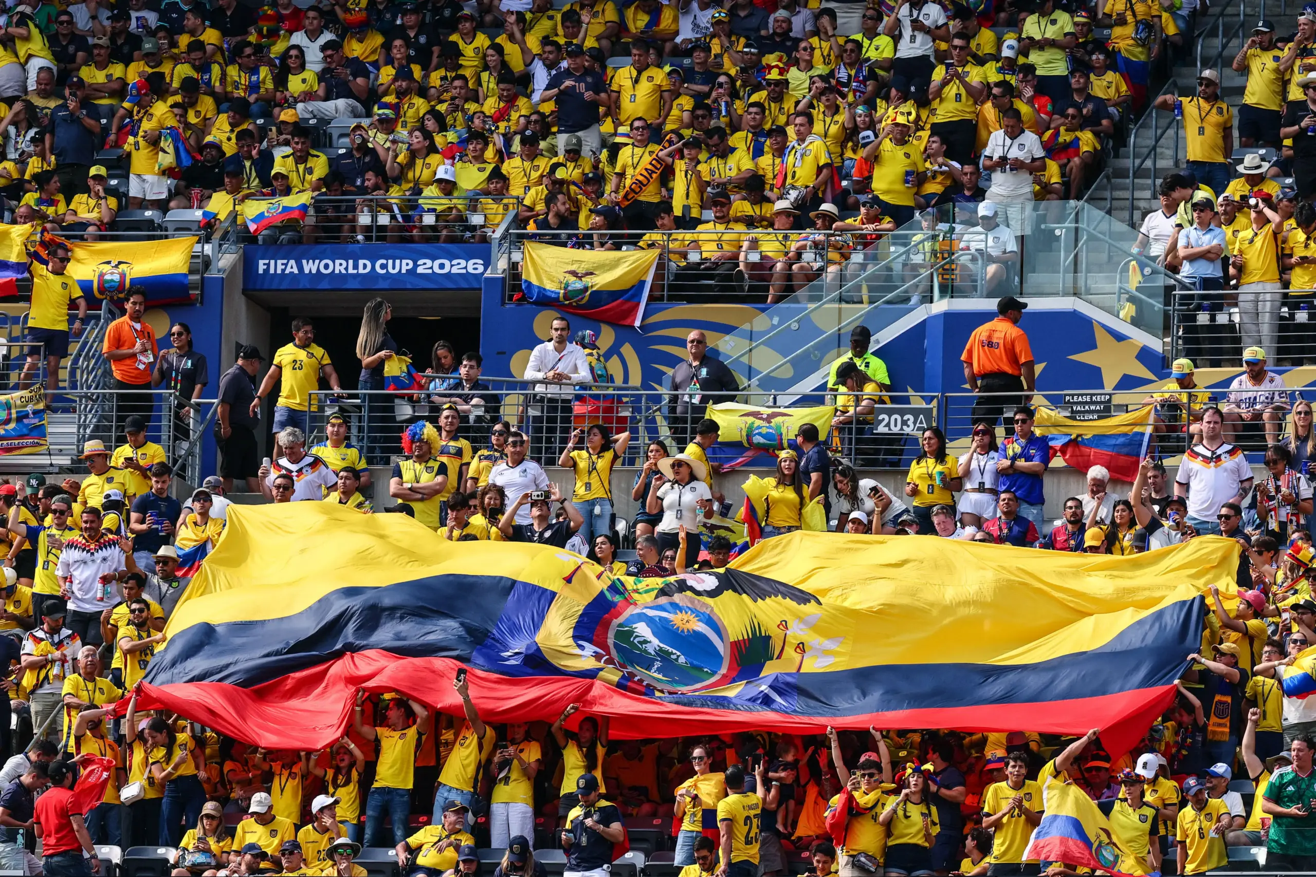 Ecuador Fans 2026 World Cup